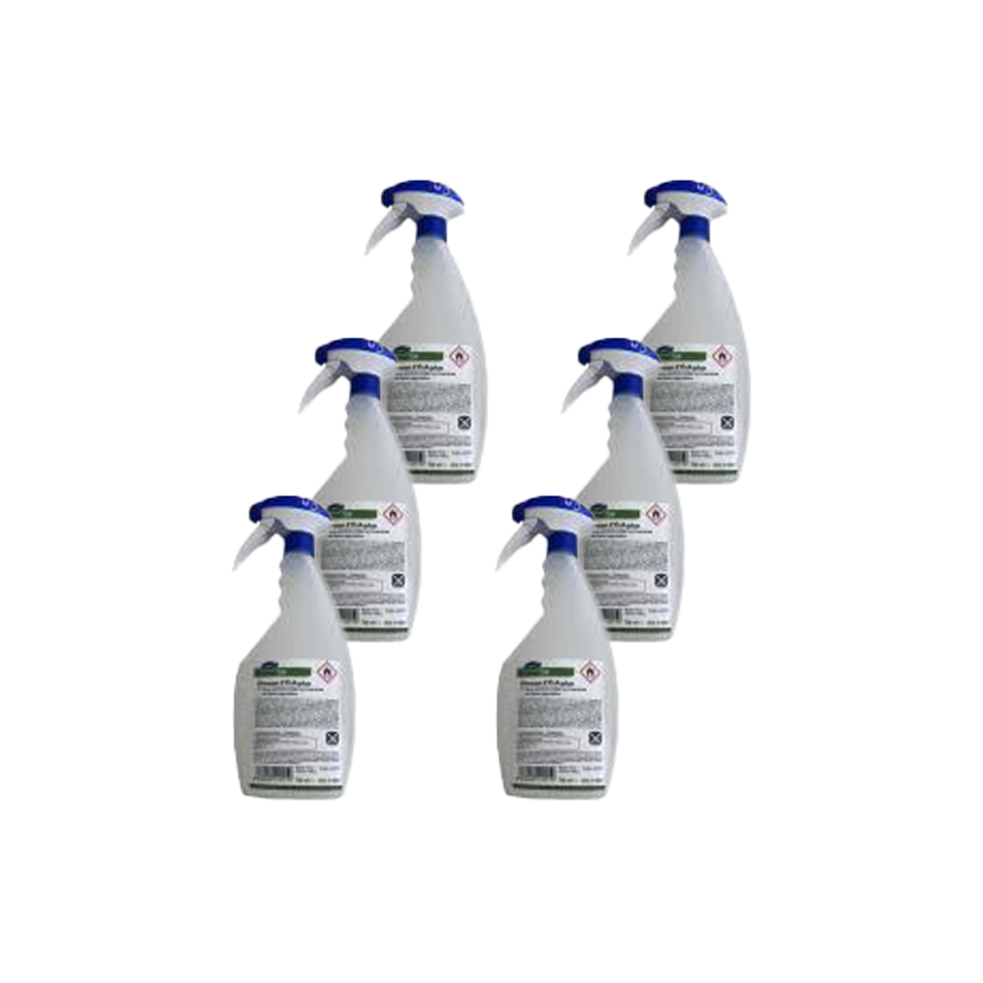 Spray désinfectant Divosan - boîte de 6 bouteilles (750ml/pc)